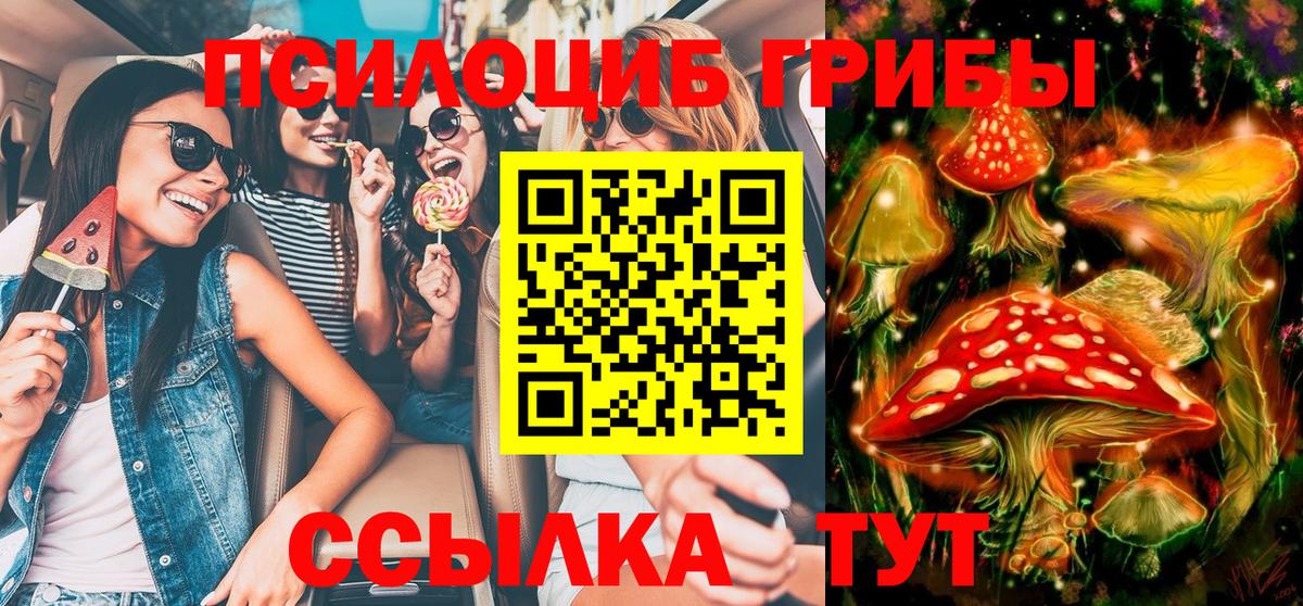 Лениногорск  Псилоцибиновые грибы Psilocybe  Вход с VPN 